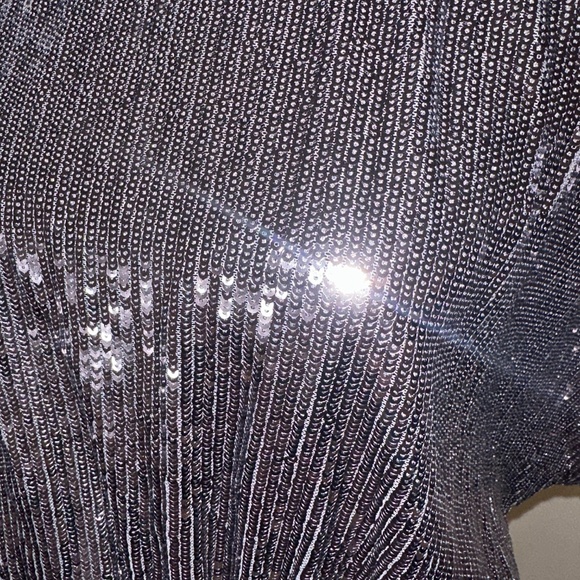 Zara Long Maxi Sequin Dress with scooped back - Picture 9 of 12